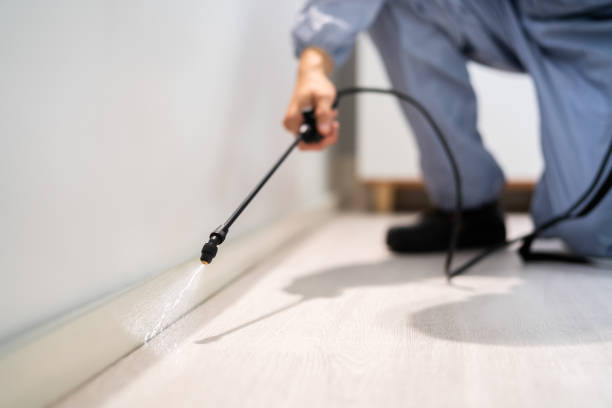 Rodent Entry Point Assessment in Mount Pleasant