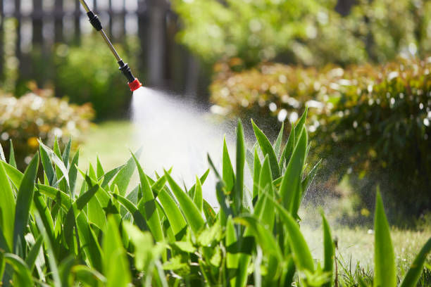 Tamper-Resistant Bait Stations for Rodents in Mount Pleasant