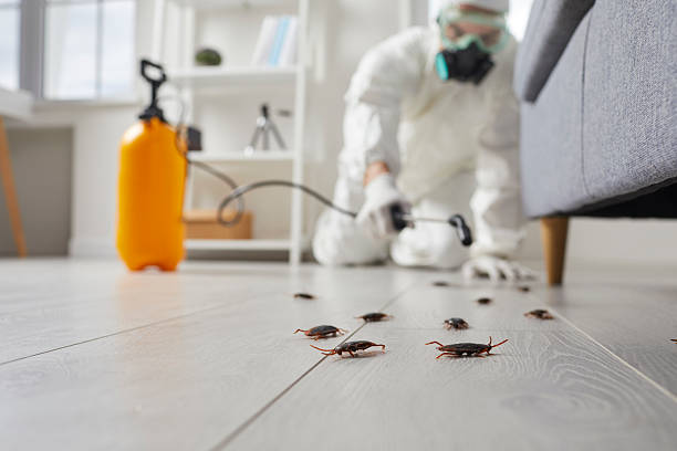 Commercial Rodent Management in Mount Pleasant